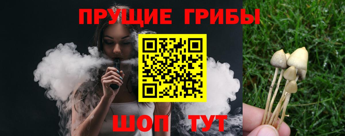 Галлюциногенные грибы Psilocybine cubensis Миллерово